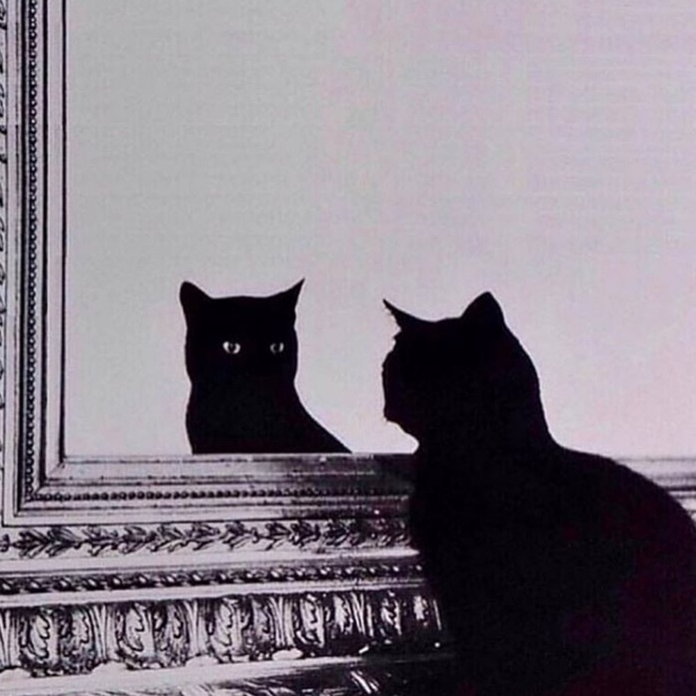 Meet your Posher, June